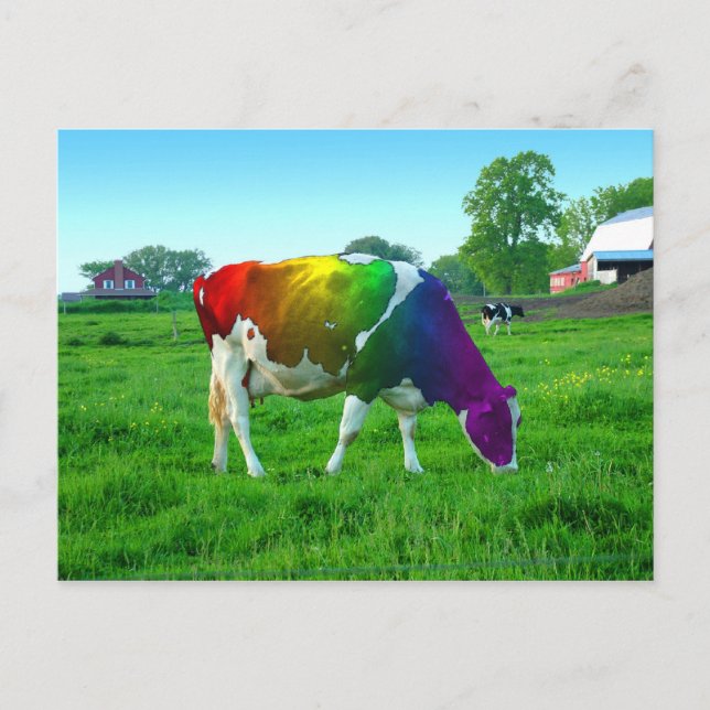 Rainbow Cow Postkarte (Vorderseite)
