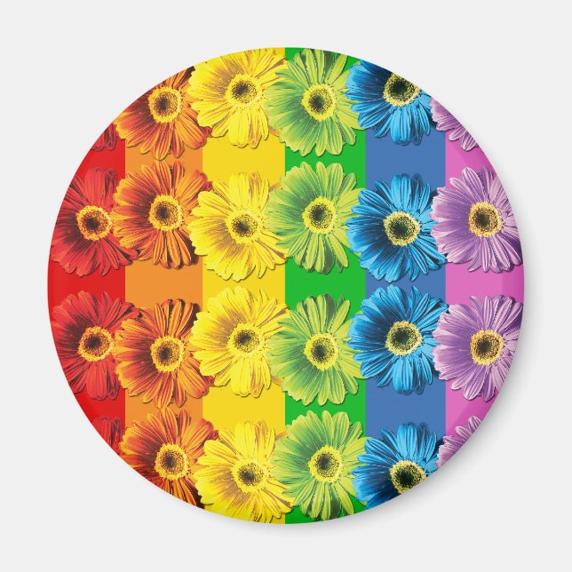 Rainbow Daisies Magnet (Vorne)