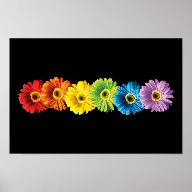 Rainbow Daisies Poster (Vorne)