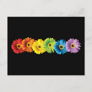 Rainbow Daisies Postkarte