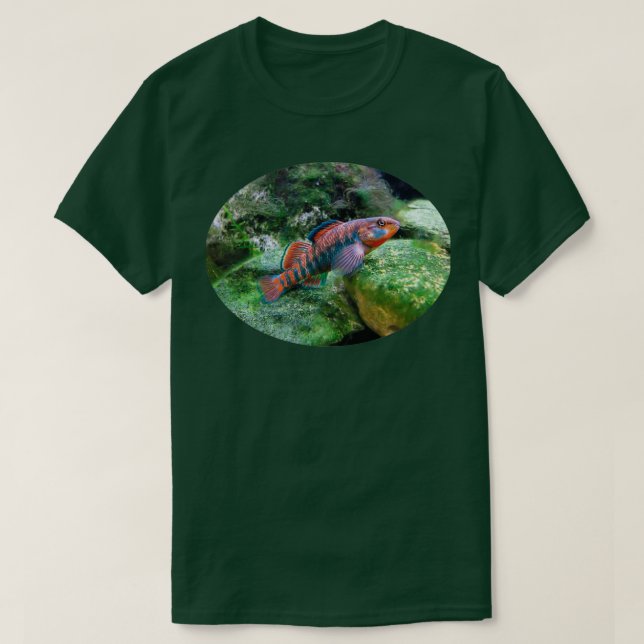 Rainbow Darter T-Shirt (Design vorne)