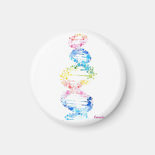 Rainbow DNA Magnet