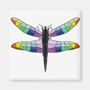 Rainbow Dragonfly-Magnet Magnet