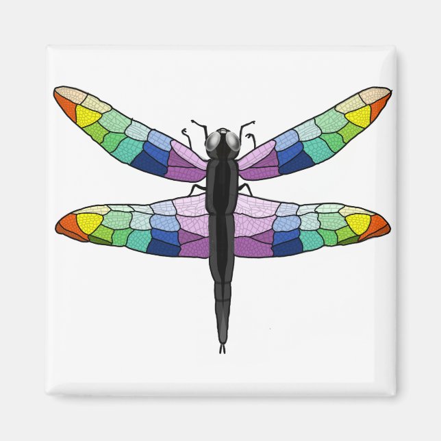 Rainbow Dragonfly-Magnet Magnet (Vorne)