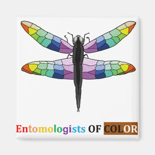 Rainbow Dragonfly-Magnet Magnet