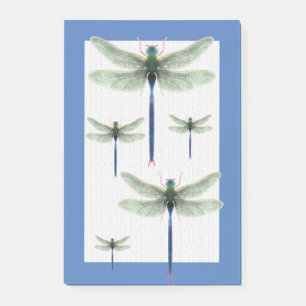 Rainbow Dragonfly Post-it Klebezettel