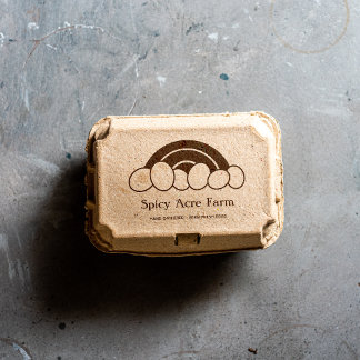 Rainbow Ei Karton Briefmarke Gummistempel