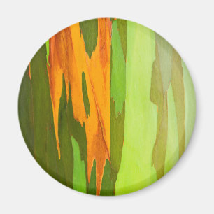 Rainbow Eucalyptus bellen, Hawaii Magnet