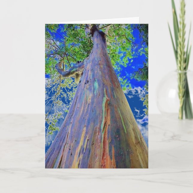 Rainbow Eucalyptus Tree Karte (Vorderseite)