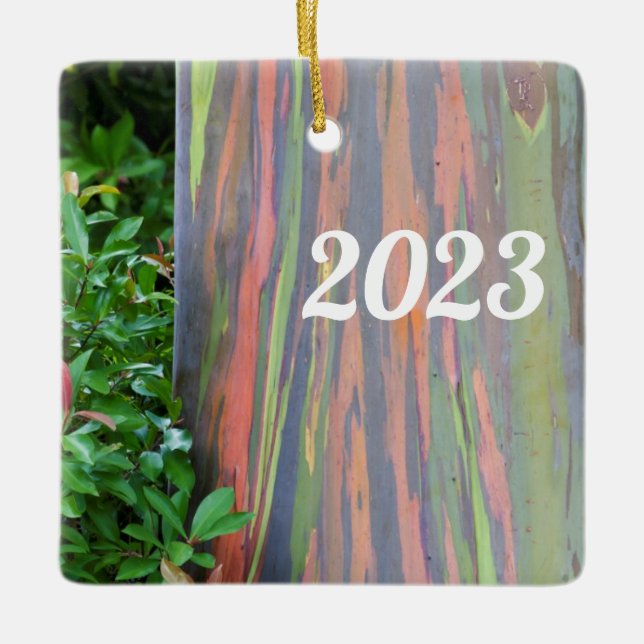 Rainbow Eucalyptus Tree Keramikornament (Vorderseite)