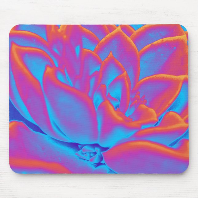 Rainbow-Farbe Sukkuläre Pflanze Mousepad (Vorne)
