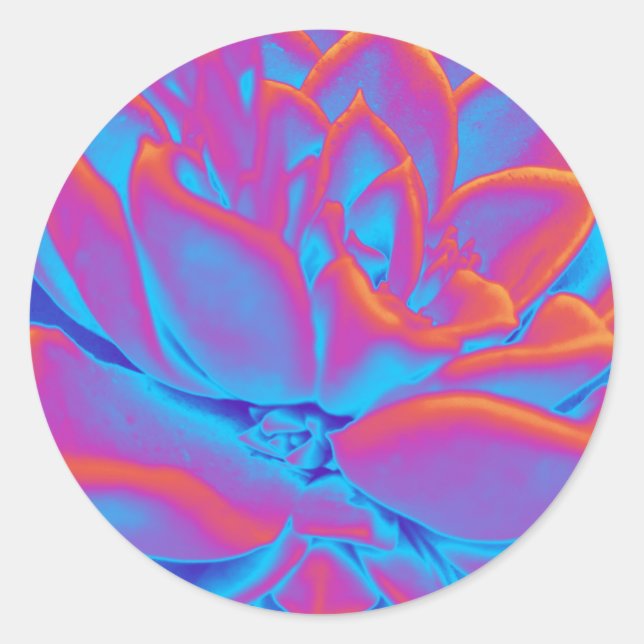 Rainbow-Farbe Sukkuläre Pflanze Runder Aufkleber (Vorderseite)