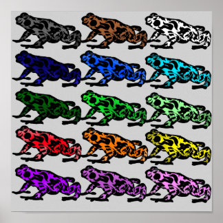 Rainbow Frosch Chart Poster