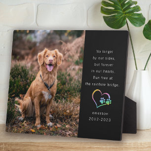 Rainbow Glitzer Black Foto Pet Memorial Fotoplatte