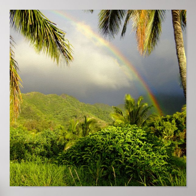 Rainbow-Hakipuu Poster (Vorne)