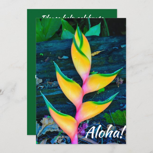 Rainbow Heliconia, Haena, Kauai, Hawaii Einladung (Vorne/Hinten)