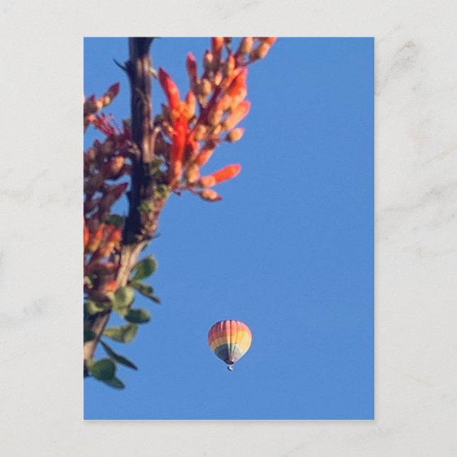 Rainbow Hot Air Ballon New Mexico Postkarte (Vorderseite)
