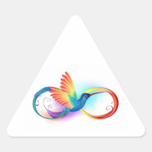 Rainbow Hummingbird mit dem Symbol Unendlichkeit Dreieckiger Aufkleber