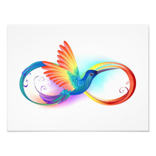 Rainbow Hummingbird mit dem Symbol Unendlichkeit Fotodruck