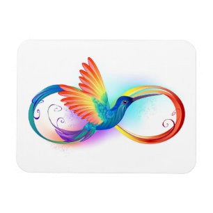 Rainbow Hummingbird mit dem Symbol Unendlichkeit Magnet