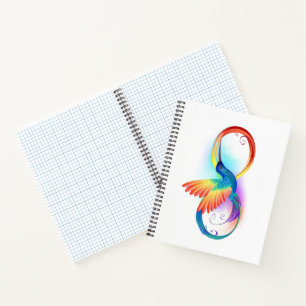 Rainbow Hummingbird mit dem Symbol Unendlichkeit Notizbuch