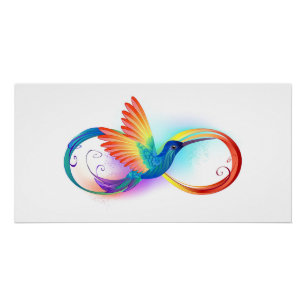 Rainbow Hummingbird mit dem Symbol Unendlichkeit Poster