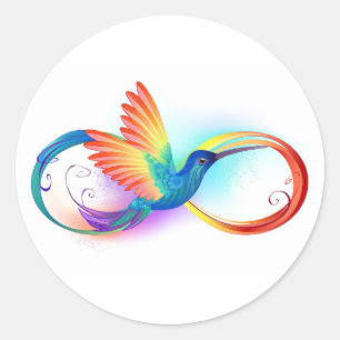 Rainbow Hummingbird mit dem Symbol Unendlichkeit Runder Aufkleber