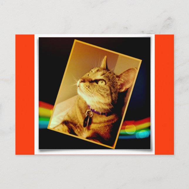 Rainbow Indigo Postkarte (Vorderseite)
