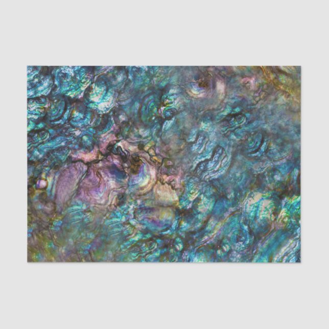Rainbow Iridescent Abalone Beach Sea Muschel Seidenpapier (Vorderseite)