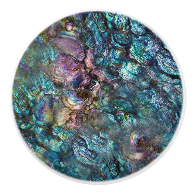 Rainbow Iridescent Abalone Sea Muschel Keramikknauf (Vorderseite)