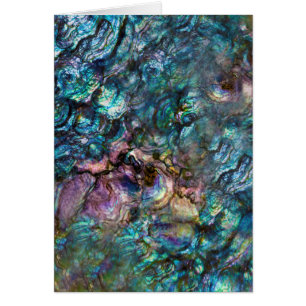 Rainbow Iridescent Abalone Sea Muschel Vielen Dank