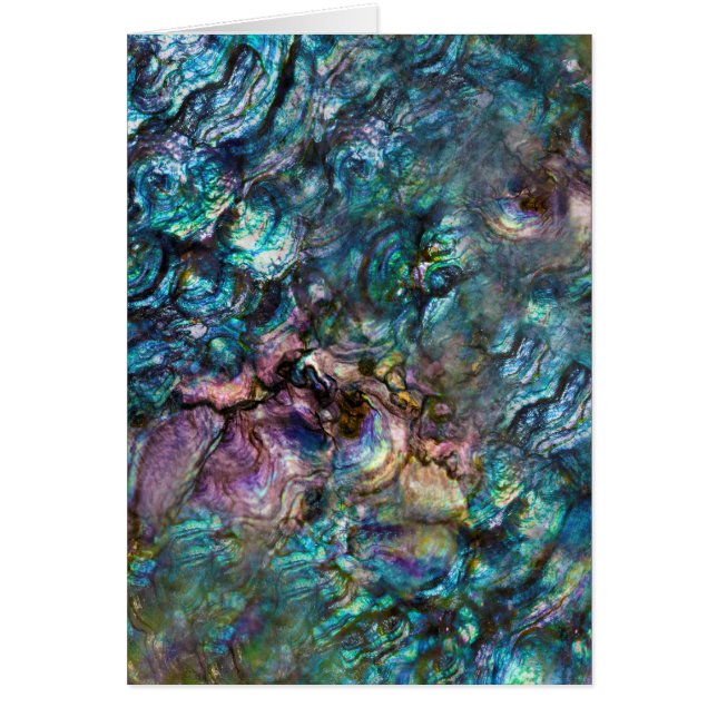 Rainbow Iridescent Abalone Sea Muschel Vielen Dank (Vorne)