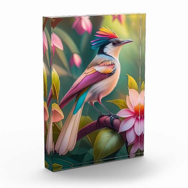 Rainbow-Jay Fantasy Bird Fotoblock (Links)