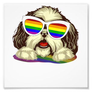 Rainbow LGBT Flag Gay Pride Shih Tzu Dog Copy Fotodruck