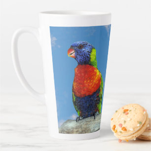 Rainbow-Lorikees, zwei auf einem Zweig Milchtasse