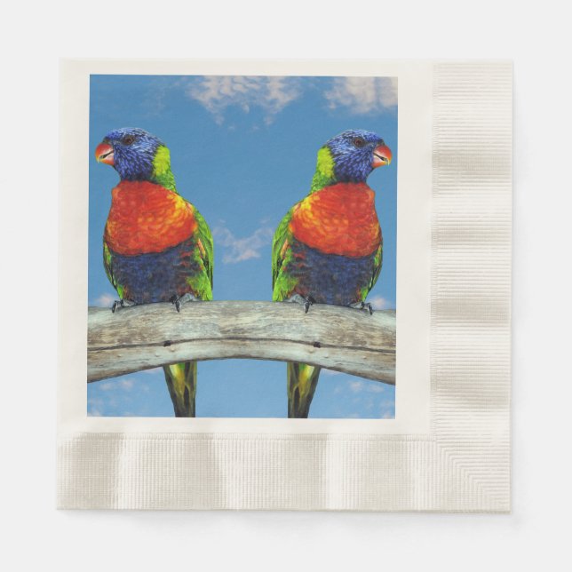 Rainbow-Lorikees, zwei auf einem Zweig Serviette (Vorderseite)