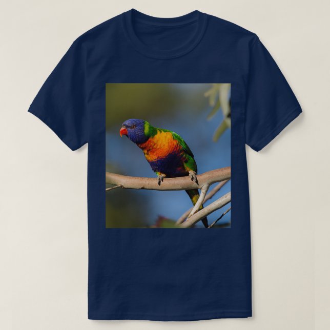 Rainbow Lorikeet 4 T-Shirt (Design vorne)