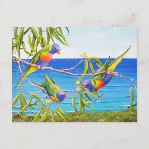 Rainbow Lorikeet Birds Blue Australian Painting Postkarte