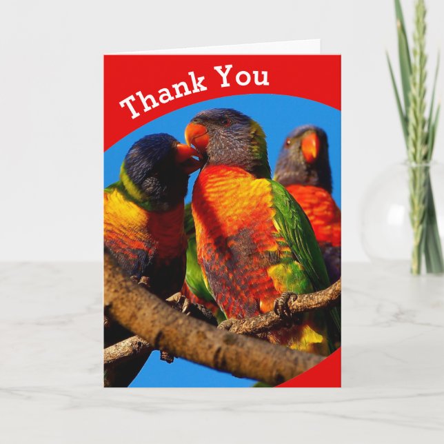 Rainbow Lorikeet blank Danke Karte (Vorderseite)