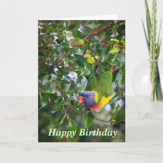Rainbow Lorikeet Happy Birthday Grußkarte Karte (Vorderseite)