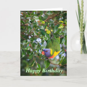 Rainbow Lorikeet Happy Birthday Grußkarte Karte