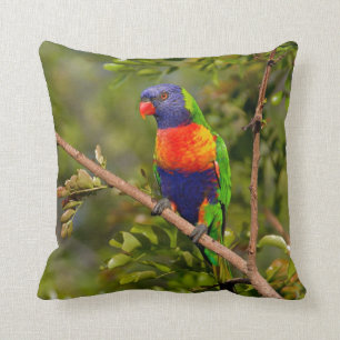 Rainbow Lorikeet Kissen