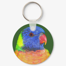 Rainbow Lorikeet Parrot Foto