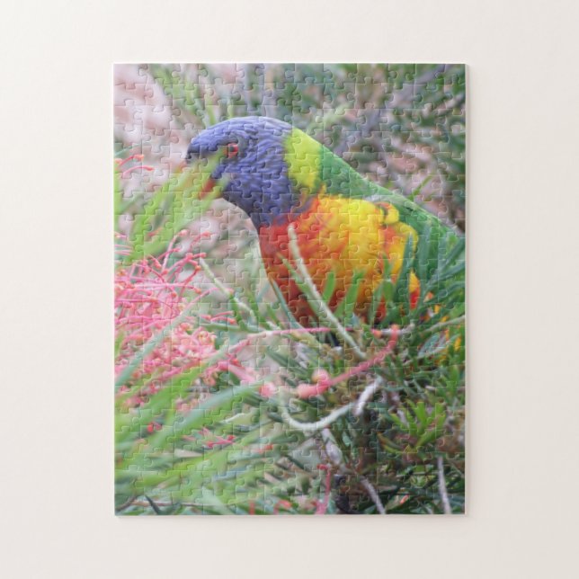 Rainbow Lorikeet Puzzle (Vertikal)