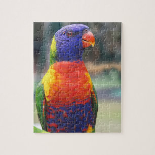 Rainbow Lorikeet (Trichoglossus haematodus 2 Puzzle