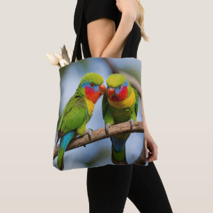 Rainbow Lorikeets