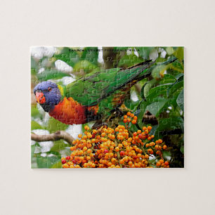 Rainbow Lorikeets Australien Puzzle
