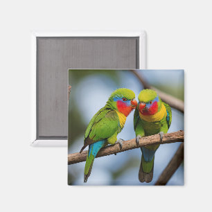 Rainbow Lorikeets Magnet