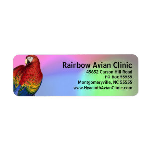 Rainbow Macaw mit farbenprächtigem Hintergrund