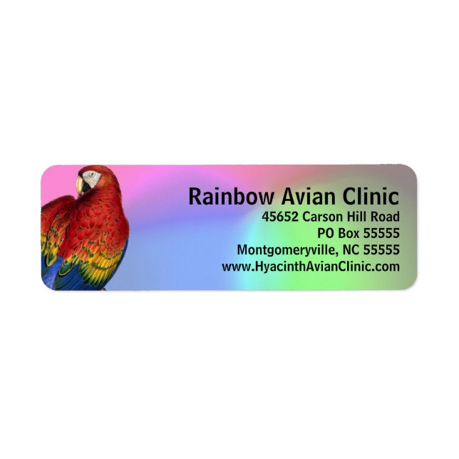 Rainbow Macaw mit farbenprächtigem Hintergrund (Vorne)